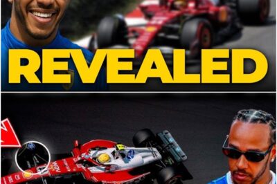 “Ferrari’s Discovery About Hamilton’s Driving Will Have You Questioning Everything You Thought You Knew!” What Ferrari has discovered about Hamilton’s driving is beyond what anyone expected! The new findings are set to reshape the way we view his performances on track. This revelation could have massive implications for the future of both Ferrari and Hamilton’s career in Formula 1.