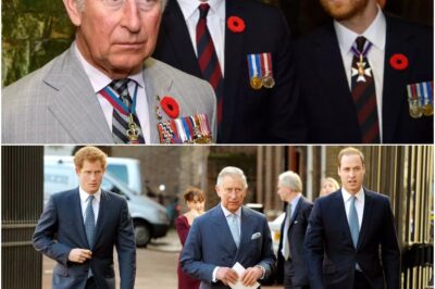 King Charles ‘less irritated with Harry than William’ royal insider claims in shock update!