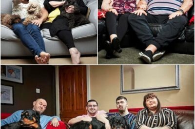 Gogglebox deaths: Paying tribute to the cast and crew we’ve loved and lost!