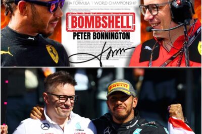 The Reunion That Could Redefine Ferrari: Hamilton’s Masterstroke to Bring “Bono” to Maranello