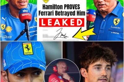 Formula 1 has been rocked by dramatic new claims suggesting Ferrari betrayed Lewis Hamilton, breaking a trust once thought unshakable. Now, with tensions rising, Hamilton is said to be forcing a stunning Mercedes comeback that no one in the paddock predicted, leaving experts divided and supporters desperate for answers.