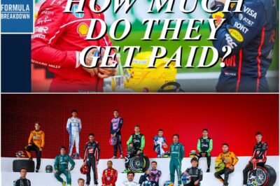 The $450 Million Paycheck: Inside the Secret Financial World of Formula 1’s Elite Drivers