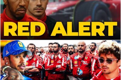 Ferrari in Chaos: Engineer Exodus Threatens to Derail Hamilton’s Dream and Leclerc’s Last Hope