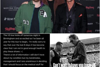 Busted star James Bourne quits Busted vs McFly tour a day before it kicks off!