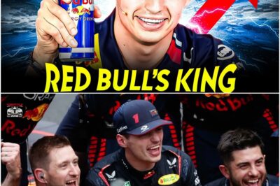 Red Bull’s New Era: Was Verstappen the Key to Their Dominance? When Max Verstappen joined Red Bull, few could have predicted the changes that would follow. His dominance on the track and leadership off it have shifted Red Bull into a new era. Was Verstappen the driving force behind their success, or is there more to their winning formula?
