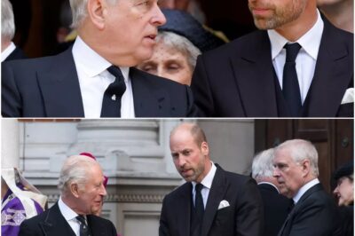 Prince William ‘furious’ with Prince Andrew after the Duchess of Kent’s funeral!