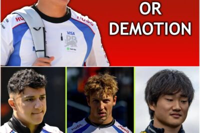 Red Bull’s Brutal Crossroads: The Young Guns on the Chopping Block and the Ticking Time Bomb of a Post-Verstappen Era