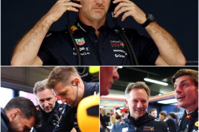 The £80 Million Exit: Inside the Scandal, Betrayal, and Power Struggle That Toppled F1 Titan Christian Horner