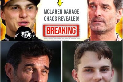 Extreme Tension at McLaren: Piastri’s Baku Disaster and Webber’s “Shocking” Declaration Plunge the Team into Crisis