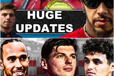 Singapore GP Scandal: Verstappen’s Fury At Norris, Williams Double DSQ, And Hamilton’s ‘Narrow Escape’ Verdict