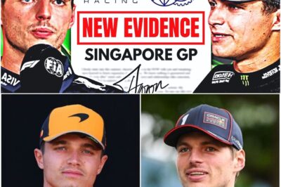 TELEMETRY SHOCKER: NEW EVIDENCE EXPOSES THE TRUE COST OF VERSTAPPEN-NORRIS INCIDENT, IGNITING WAR INSIDE RED BULL
