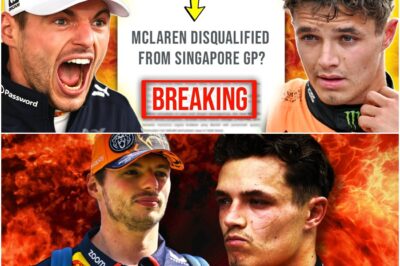 MAX VERSTAPPEN’S CHILLING SEVEN-WORD WARNING: Norris Accused of ‘Incomprehensible’ Cheating in Singapore, Sparking Urgent FIA Probe and All-Out F1 War.