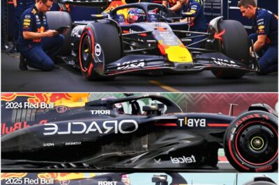 Red Bull’s RB21 Miracle: How a Technical Revolution and Verstappen’s Willpower Forged an Impossible F1 Championship Comeback