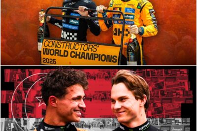 Championship Glory, Civil War: The Explosive Norris-Piastri Rift That Stole McLaren’s Singapore GP Crown