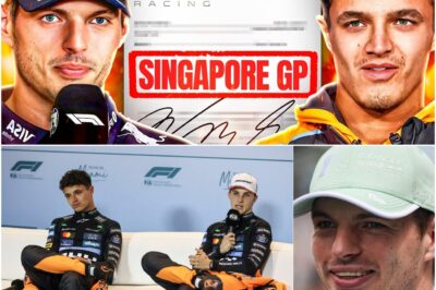 Verstappen’s 104-Point Comeback Shatters McLaren’s F1 Dream: How the Red Bull Star Turned a Coronation into a War for Survival