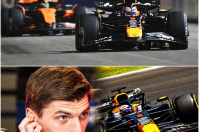 The Shocking Price Red Bull Paid to Save Verstappen and Why Lando Norris Erupted