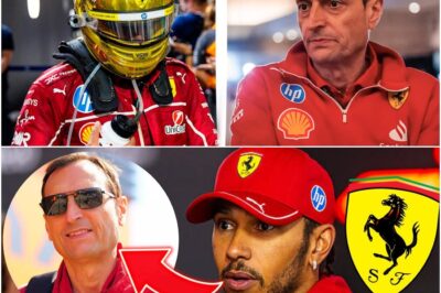 Conscious Catastrophe: Ferrari Engineer Exposes the ‘Known Flaw’ That Led to Lewis Hamilton’s Singapore Nightmare