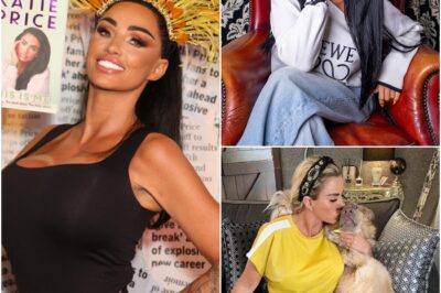 Katie Price faces backlash as she buys another dog following another pet death!