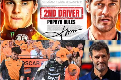 The Perfect Storm: Piastri, Webber, and the Calculated Revenge Plot That Could Redefine Formula 1