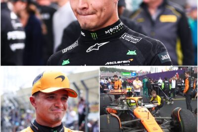 The Hidden Toll of F1: Lando Norris Reveals Chaos at McLaren Forced Him to Seek Therapy