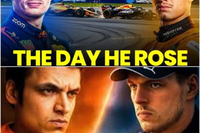 The Miami Miracle: How Lando Norris’s Quiet Revolution Shattered Red Bull’s Empire