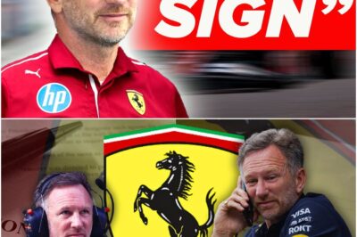 The Prancing Horse’s Gamble: Horner to Ferrari Rumors Intensify Amidst a Season of Discontent