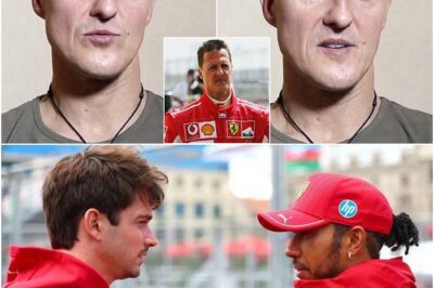Michael Schumacher’s last interview comes to light as the same problems still exist today!