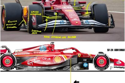 “A Dancer With No Rhythm”: A Champion’s Cry for Help Exposes a Crisis in the Making