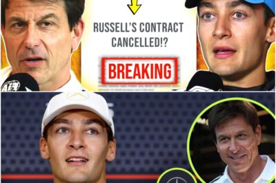 Mercedes’ Million-Dollar Gamble: Why Toto Wolff is Stalling on George Russell’s Future Amidst Rising Tensions