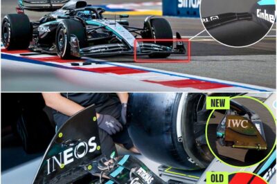 The Scandal of Speed: Did a Secret, “Illegal” Wing Propel Mercedes to a Shocking Victory?