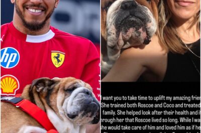‘NOBODY LIKE YOU’ Heartbroken Lewis Hamilton pays emotional tribute to ‘amazing friend’ who stood with him as beloved dog Roscoe died!