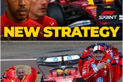 Ferrari’s High-Stakes Gamble: Inside the Radical Split Strategy That Shocked Hamilton and Leclerc