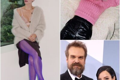 Lily Allen admits she ‘wanted to die’ and almost relapsed after David Harbour affair heartache!