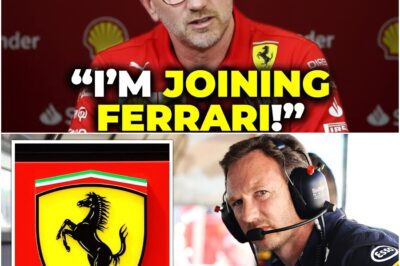 Ferrari in Chaos: Elcan’s Shock Bid for Horner Risks Hamilton Exit and Team Collapse