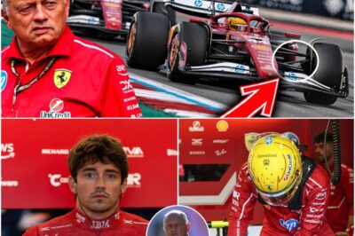 The Soul Whisperer: How Lewis Hamilton’s Instinct Uncovered a Secret Power in the Ferrari SF-25 and Changed Maranello Forever