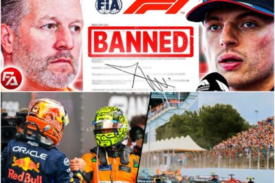 “Borderline or Beyond”: McLaren Accuses Red Bull of Illegal Parts After Insane Championship Collapse