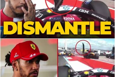 The Titanium Guardian: How Millimeters and a Hated Device Saved Lewis Hamilton’s Life—Twice
