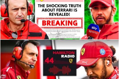 Data vs. Instinct: The Deepening Rift Between Lewis Hamilton and Ferrari After Shocking Americas GP