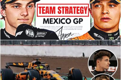 McLaren’s Shocking Double-Gamble: Why No Team Orders and No Upgrades Could Hand Verstappen the Title