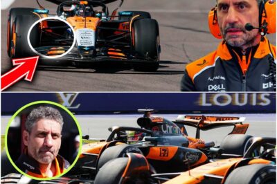 Anatomy of a Betrayal: How a Secret Car Change Left Piastri Helpless and Stella Furious