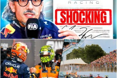 Red Bull’s “Insane” Statement About McLaren Before the Singapore GP: The Marina Bay Test Will Reveal the Truth About Verstappen’s Comeback