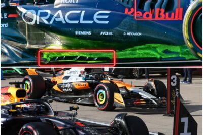 Red Bull’s High-Stakes Gamble: Inside the Shock “McLaren Beater” Upgrade to Save Their Championship