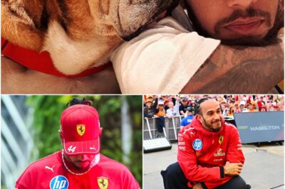 ‘Grief is the Last Act of Love’: Lewis Hamilton Shares Raw, Heartbreaking Pain After Roscoe’s Death in His Arms