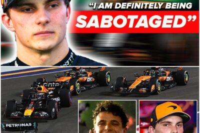 The McLaren Civil War: Sabotage Whispers Erupt as Lando Norris Seizes the F1 Title Lead from Teammate Oscar Piastri