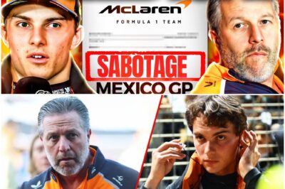 The Unseen Battle: New Evidence Reveals How McLaren’s Winning Upgrades Forced Oscar Piastri to Completely Change His Driving Style