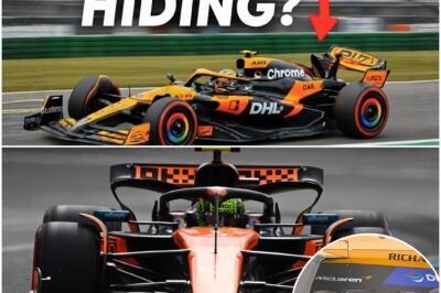 The Papaya Ploy: How McLaren’s Secret Weapon, Hidden in Plain Sight, Reshaped the 2025 F1 Title Fight
