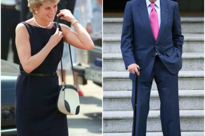 Princess Diana fans hit back at Juan Carlos’ ‘repulsive’ slurs in damning new book!
