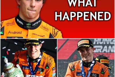 The 34-Point Implosion: Inside Oscar Piastri’s Stunning Collapse from F1 Title Leader to Under-Fire Rookie