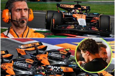 The Million-Dollar Micro-Fracture: Piastri’s Race-Saving Masterclass After McLaren’s Hydraulic Betrayal in Mexico