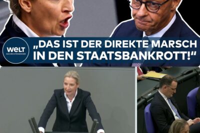 💥 Personne ne s’y attendait! Die Wahrheit éclate au grand jour: Der Démonté-Moment im Bundestag! Alice Weidel agaciert Kanzler Merz mit der schockierenden Anklage: “Sie Bankrotteur unter allen Kanzlern!” Die emotionale Wucht dieser Attacke enthüllt ungeahnte Risse in der Regierungsführung. Die Rede war eine „Malédiction“ für die Koalition, ein Beweis für das, was hinter den Kulissen wirklich schiefläuft. Difficile de croire, aber es ist wahr: Die Reaktion Merz’ wird Sie fassungslos machen. Welche explosiven, bisher verschwiegenen Zahlen belegen Weidels dramatischen Vorwurf? Alle Details zur Bankrotterklärung sind in den Kommentaren! Lesen Sie sofort weiter! 👇
